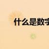 什么是数字证书啊（什么是数字证书）