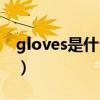 gloves是什么意思中文（gloves是什么意思）