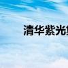 清华紫光集团重整(清华紫光mp5) 清华紫光集团重整(清华紫光mp5)
