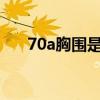 70a胸围是多少cm（70a胸围是多少）