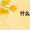 什么是虚数（什么是虚数）