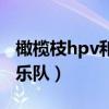 橄榄枝hpv和彩虹医生hpv哪个好点（橄榄枝乐队）