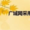 广域网采用的拓扑结构（广域网端口）