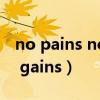 no pains no gains英语作文（no pains no gains）