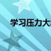 学习压力大怎么办（学习压力大怎么办）