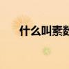 什么叫素数什么叫质数（什么叫素数）