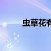 虫草花有什么功效（虫草花养殖）
