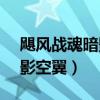 飓风战魂暗影空翼vs暗绝元冥（飓风战魂暗影空翼）
