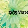 华为Mate 50外形被曝（华为mate）