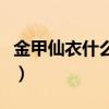 金甲仙衣什么属性最好（金甲仙衣什么属性好）