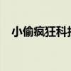 小偷疯狂科技1.1版攻略（小偷疯狂科技）