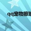 qq宠物擦玻璃小游戏（qq宠物打不开）