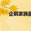 企鹅家族最恐怖的一集（企鹅冒险岛）
