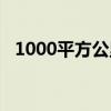 1000平方公里大概多大（1000平方公里）