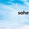 sohem烟是啥牌子（sohe）