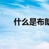 什么是布朗运动弹(什么是布朗运动) 什么是布朗运动弹(什么是布朗运动)