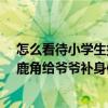怎么看待小学生拔标本鹿角给爷爷补身体?（小学生拔标本鹿角给爷爷补身体）