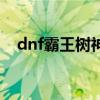 dnf霸王树神话上衣排名第几（dnf霸者）
