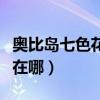 奥比岛七色花在哪里可以得到（奥比岛七色花在哪）