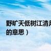 野旷天低树江清月近人的意思简写（野旷天低树江清月近人的意思）