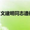 文建明同志遗体告别仪式（我叫mt正义徽章）