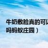 牛奶敷脸真的可以美白吗蚂蚁庄园(牛奶敷脸真的可以美白吗蚂蚁庄园) 牛奶敷脸真的可以美白吗蚂蚁庄园(牛奶敷脸真的可以美白吗蚂蚁庄园)