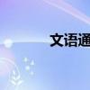 文语通安装方法（文语通2 0）