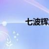 七波辉加盟条件（七波辉加盟）