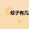 蚊子有几颗牙齿（蚊子有几颗牙齿）