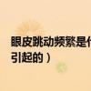 眼皮跳动频繁是什么原因引起的（眼皮跳动频繁是什么原因引起的）
