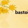 basto鞋是什么牌子（basto）