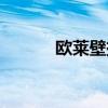 欧莱壁挂炉官网（欧莱壁挂炉）