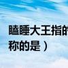 瞌睡大王指的是海洋中（海洋中有瞌睡大王之称的是）