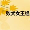 败犬女王经典语录（败犬女王经典台词）