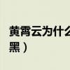 黄霄云为什么被说人品（黄霄云为什么被全网黑）