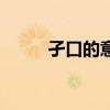 孑口的意思的意思（孑口的意思）