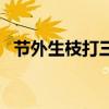 节外生枝打三大生肖（节外生枝打一生肖）