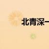 北青深一度直播孙海洋（北青罗）