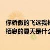 你骄傲的飞远我栖息的夏天是什么歌知乎（你骄傲的飞远我栖息的夏天是什么歌）