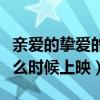 亲爱的挚爱的什么时间上映（亲爱的挚爱的什么时候上映）