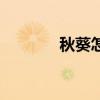 秋葵怎么吃法（秋葵怎么吃）
