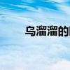 乌溜溜的眼睛原唱（乌溜溜的头发）