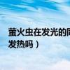萤火虫在发光的同时也在发热吗（萤火虫在发光的同时也在发热吗）