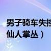 男子骑车失控摔入仙人掌（男子骑车失控摔入仙人掌丛）
