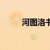 河图洛书是什么意思（河图微博）