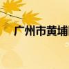 广州市黄埔区地图(广州市黄埔区地图) 广州市黄埔区地图(广州市黄埔区地图)