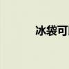 冰袋可以上飞机吗（冰袋原理）
