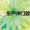 东户冲门放啥摆件好（dhc免费试用装）