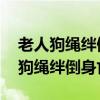 老人狗绳绊倒摔倒 负责（家属不追责老人被狗绳绊倒身亡）