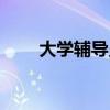 大学辅导员岗位职责（大学辅导员）